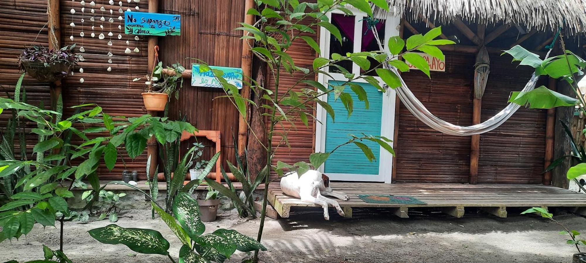Raices Mompiche Hotel Phòng bức ảnh