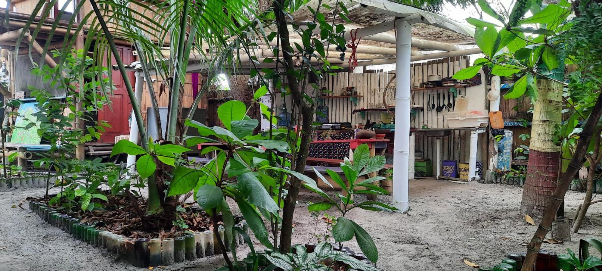 Raices Mompiche Hotel Phòng bức ảnh